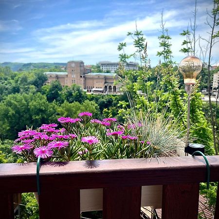 The Green Guest House Of Veliko Tarnovo-Amazing View, Top Location المظهر الخارجي الصورة