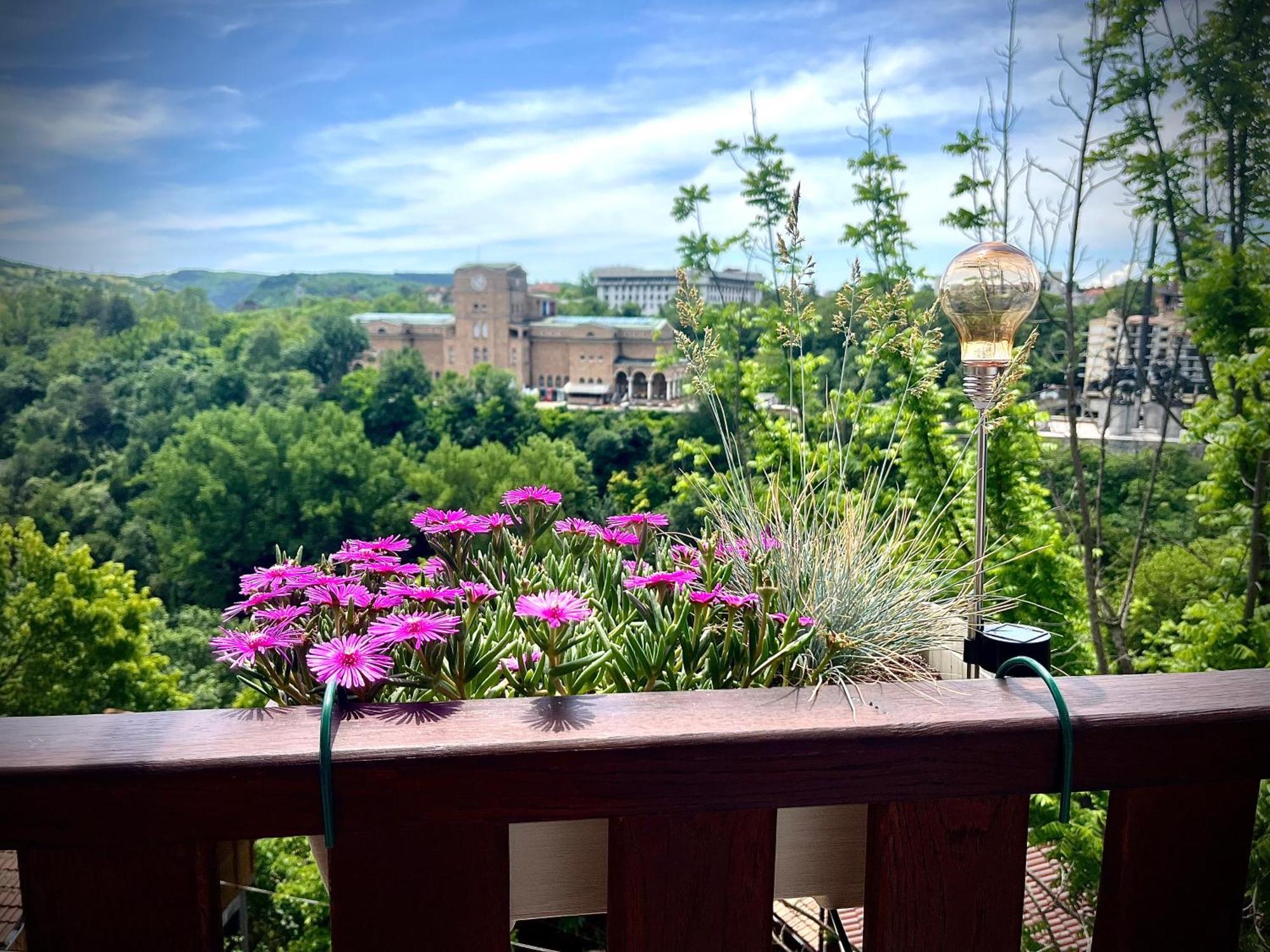 The Green Guest House Of Veliko Tarnovo-Amazing View, Top Location المظهر الخارجي الصورة